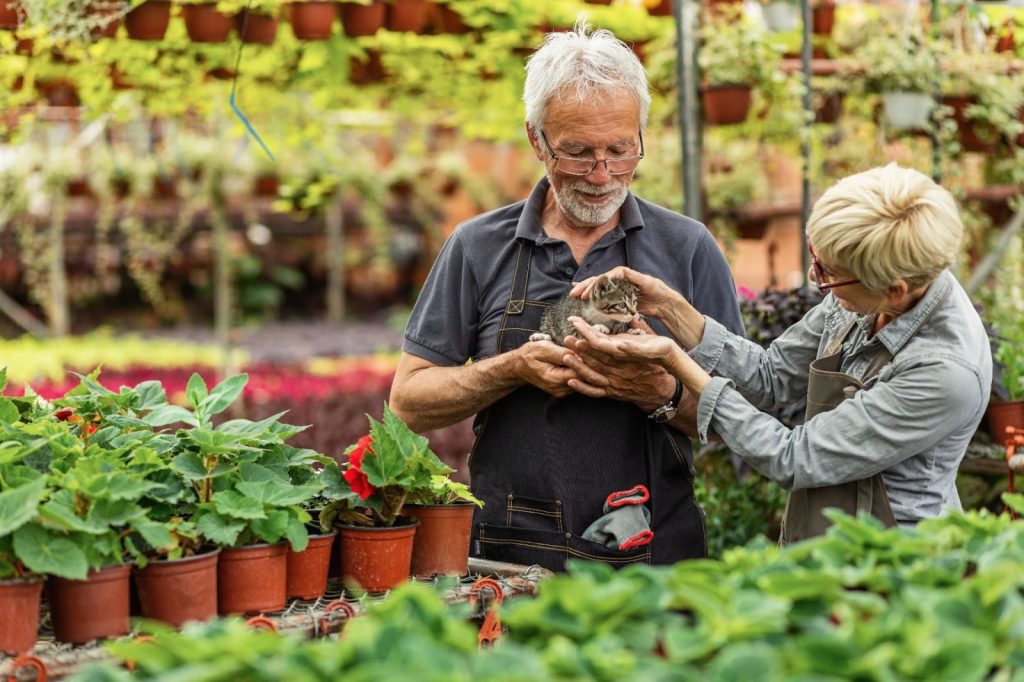 , Indoor Gardening for the Elderly